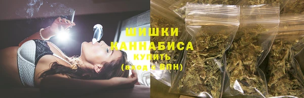 трава Болотное