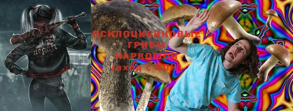PSILOCYBIN Нефтекумск